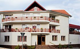 Vila Mihu