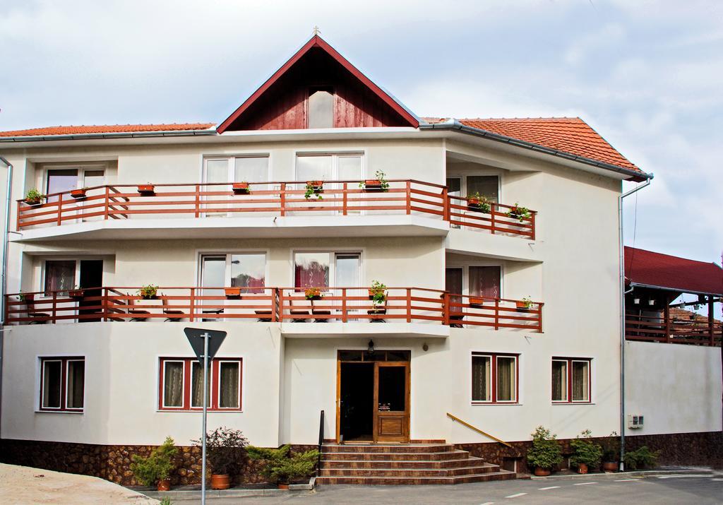 Vila Mihu Hotel Geoagiu Băi Exterior foto